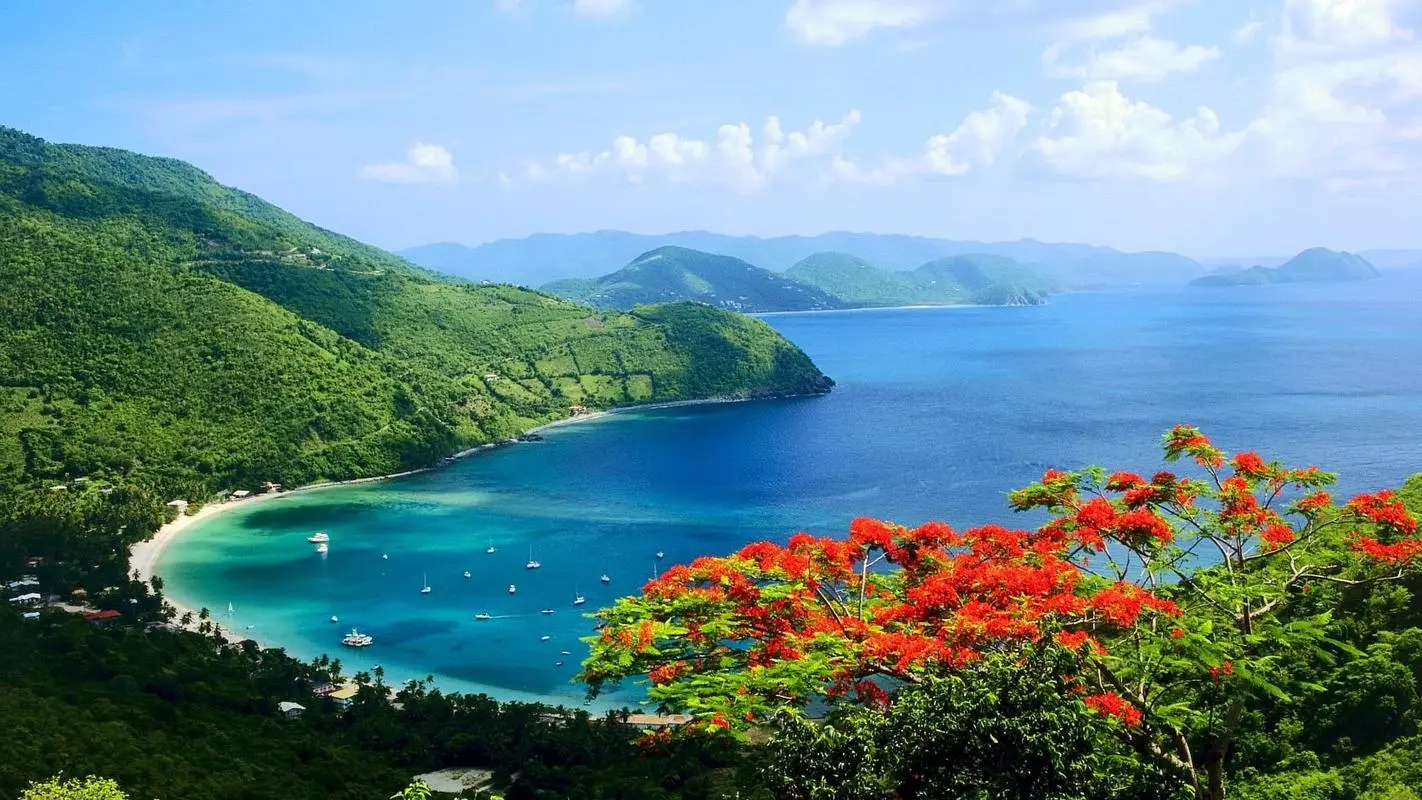 高效高效可靠性